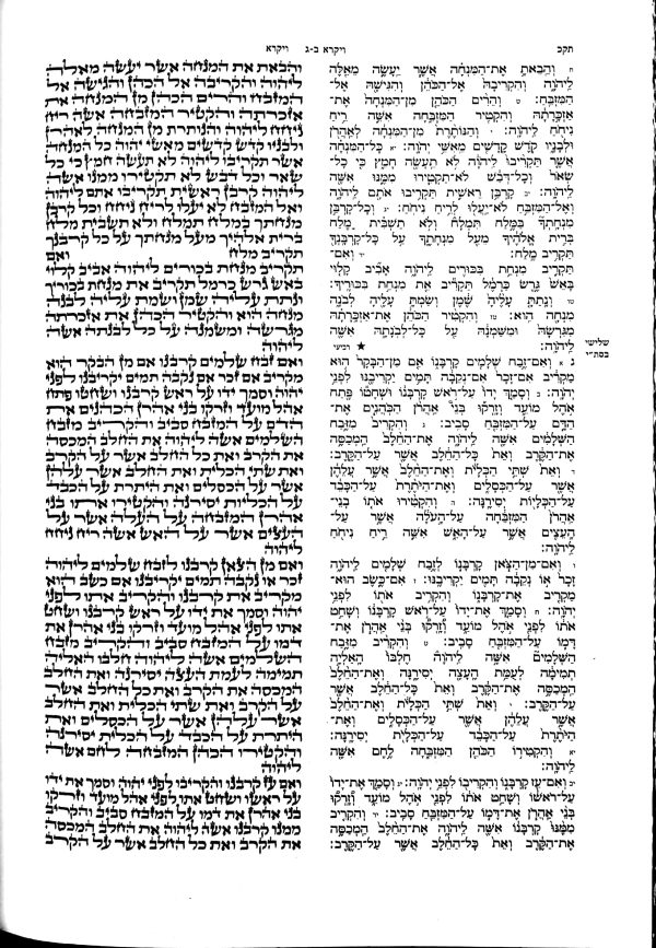 ⁦תאג' פרשה מפורשה⁩ – תמונה ⁦7⁩