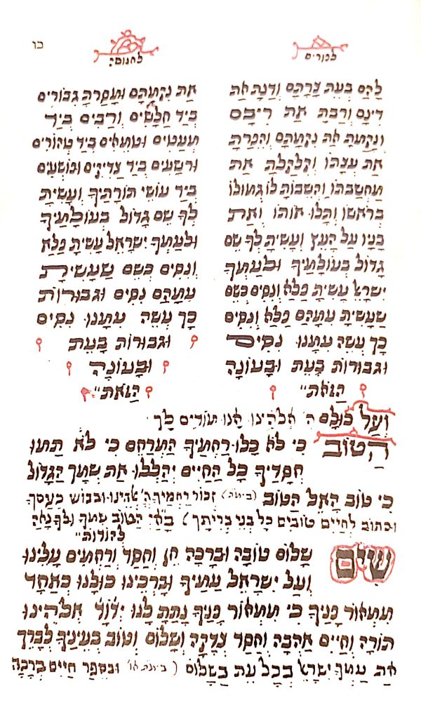 ⁦תכלאל ירושלים⁩ – תמונה ⁦3⁩