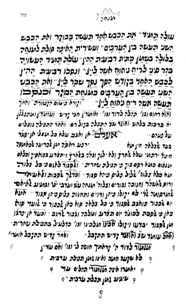 ⁦תכלאל ירושלים⁩ – תמונה ⁦2⁩