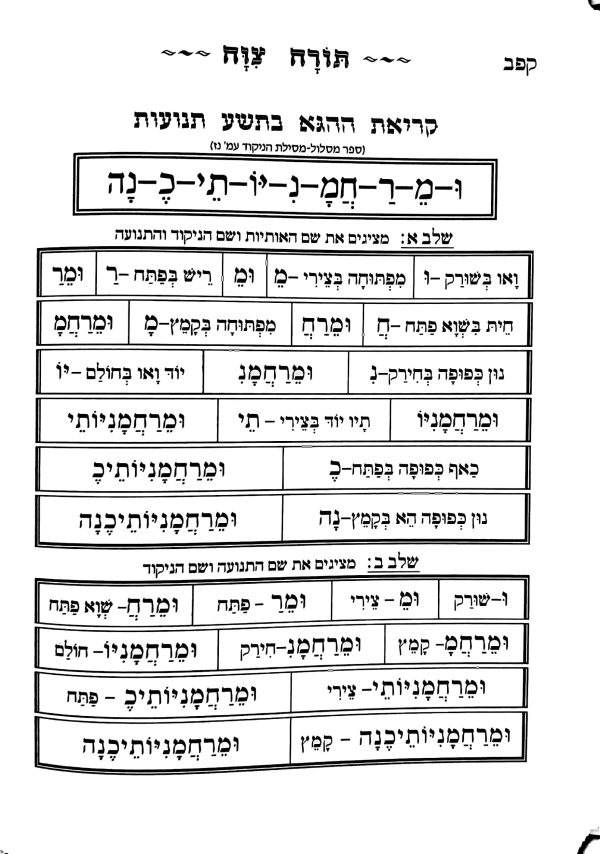 ⁦תורה צוה⁩ – תמונה ⁦6⁩