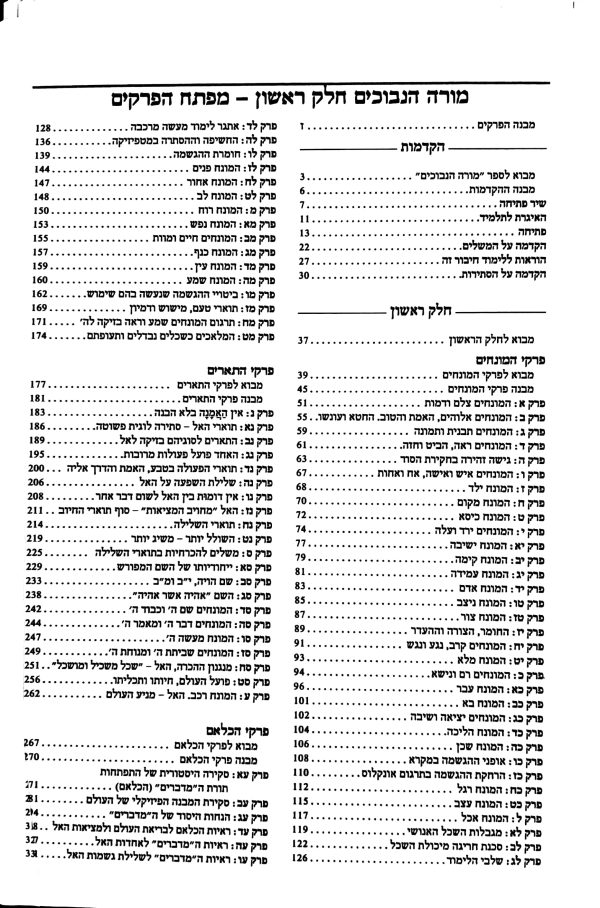 ⁦מורה הנבוכים - מקבילי⁩ – תמונה ⁦2⁩