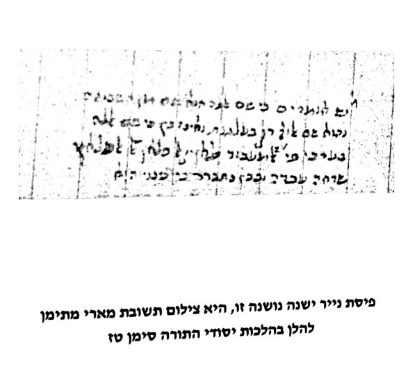 ⁦יפה מראה⁩ – תמונה ⁦25⁩