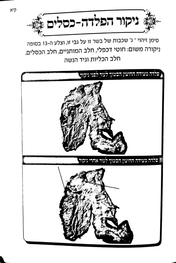 ⁦יד שלמה⁩ – תמונה ⁦4⁩