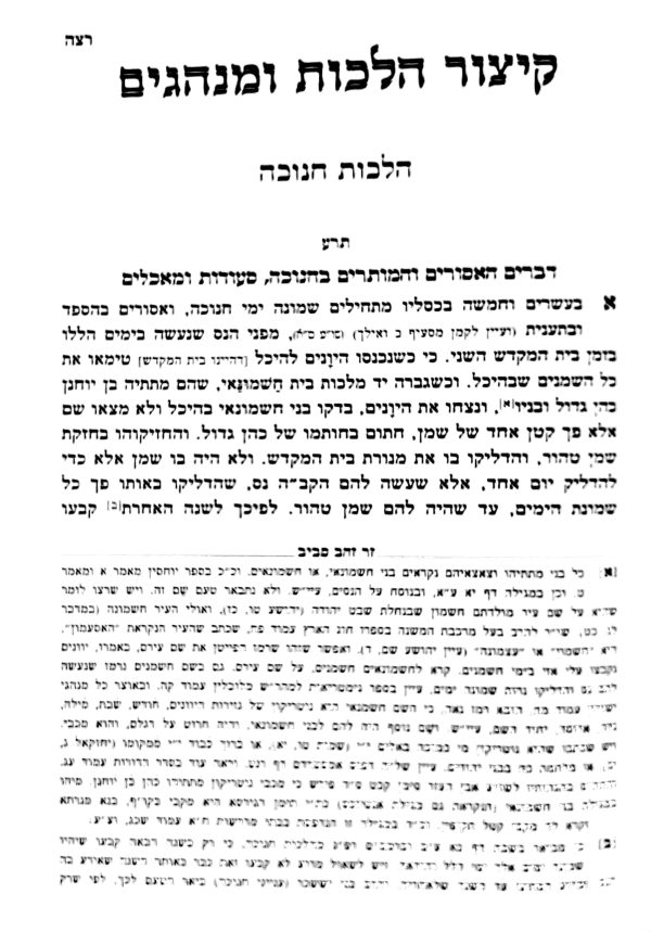 ⁦שתילי זיתים - זית רענן | פורמט גדול⁩ – תמונה ⁦3⁩