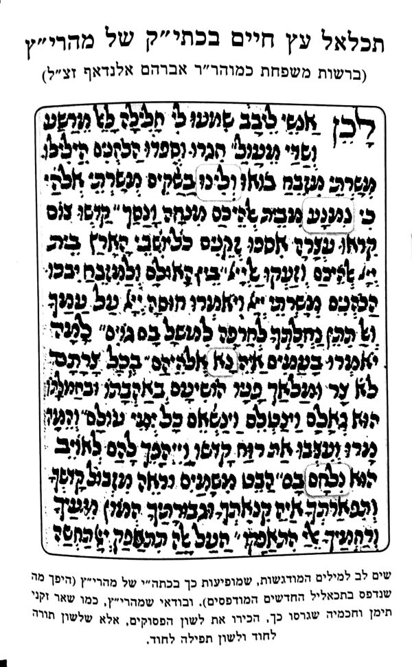 ⁦בזכרנו את ציון⁩ – תמונה ⁦2⁩